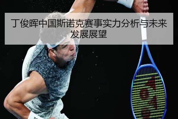 丁俊晖中国斯诺克赛事实力分析与未来发展展望