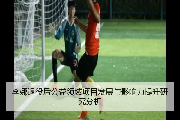 李娜退役后公益领域项目发展与影响力提升研究分析